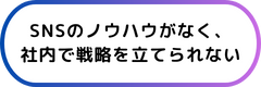 SNS運用の悩み 2